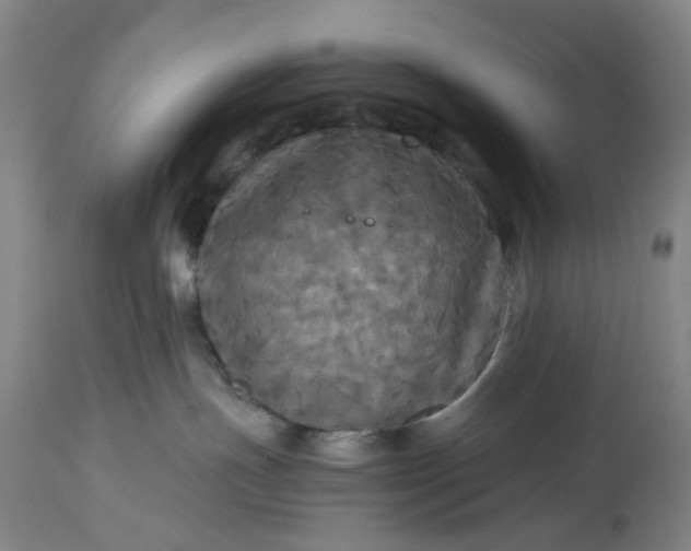 X0000115310191200911161730