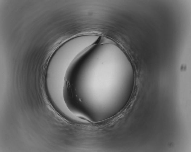 X0000115310193200911161730