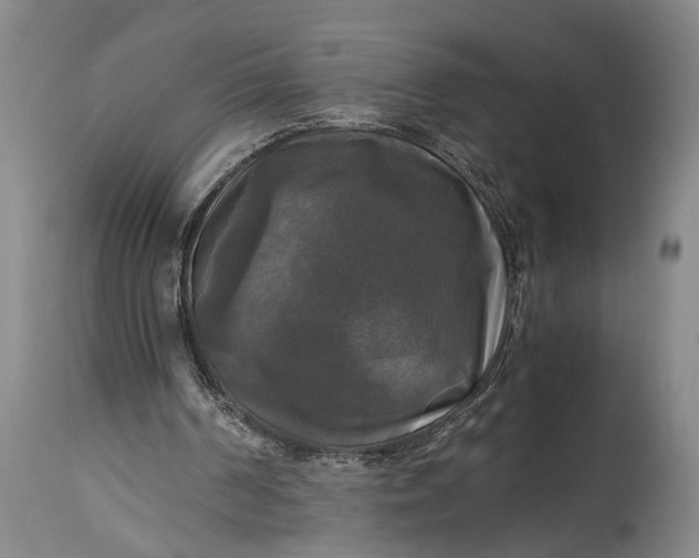 X0000115310194200911161730