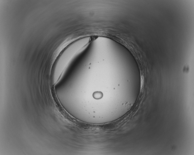 X0000115310195200911161729