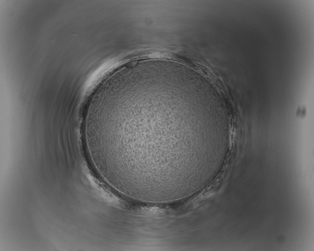 X0000115310197200911161729