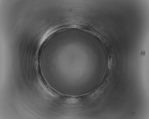 X0000115310198200911161729