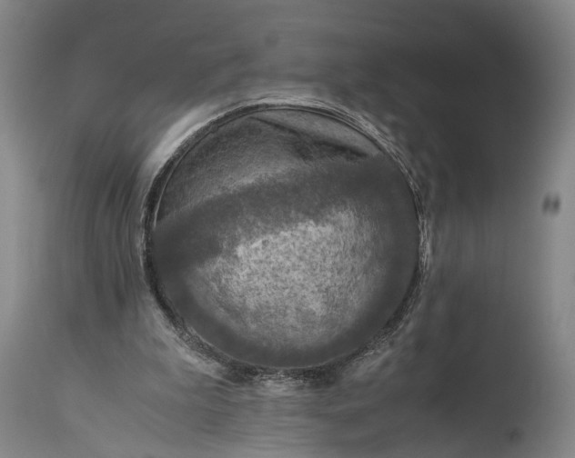 X0000115310199200911161729