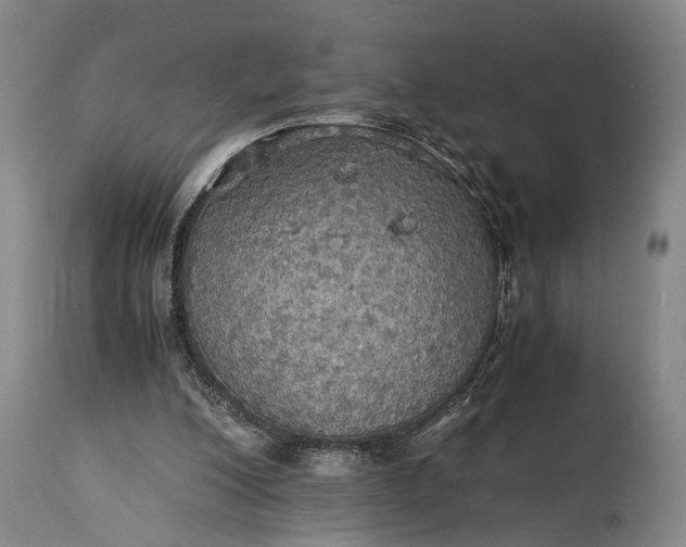 X0000115310200200911161729