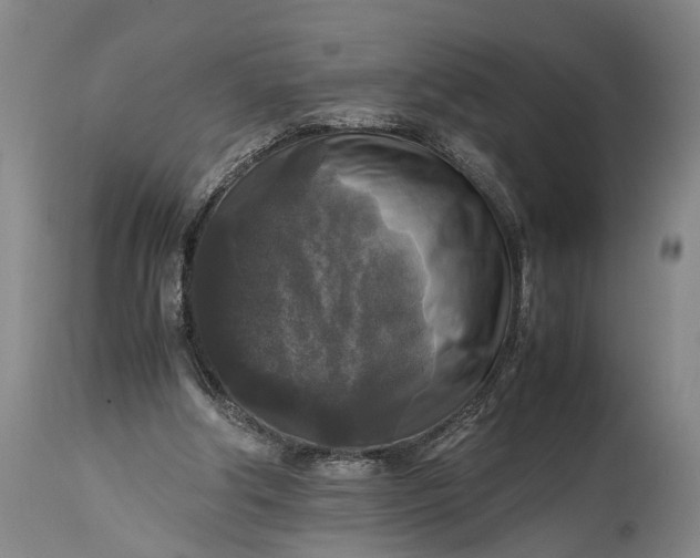 X0000115310202200911161729