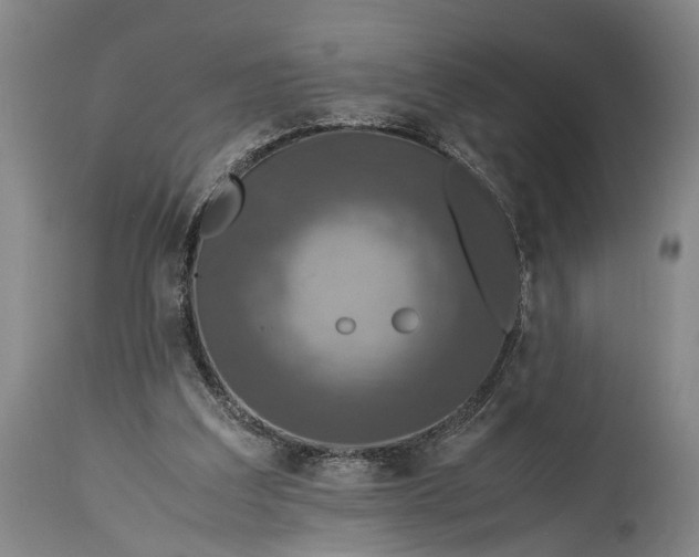 X0000115310203200911161729