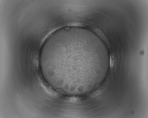 X0000115310204200911161729