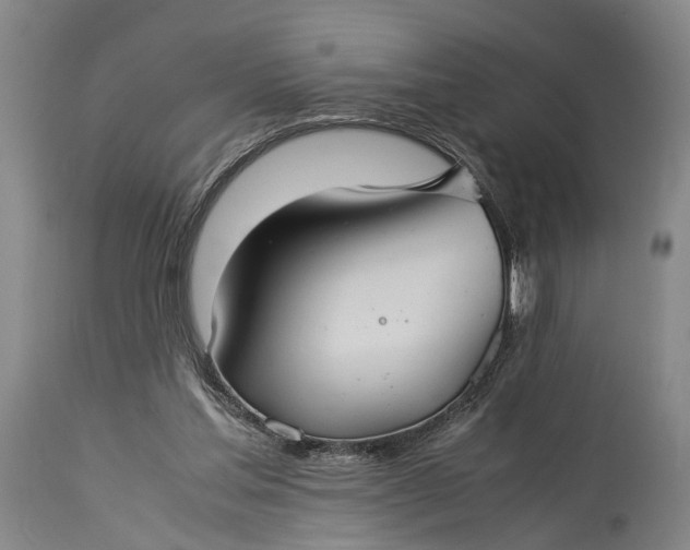 X0000115310205200911161729