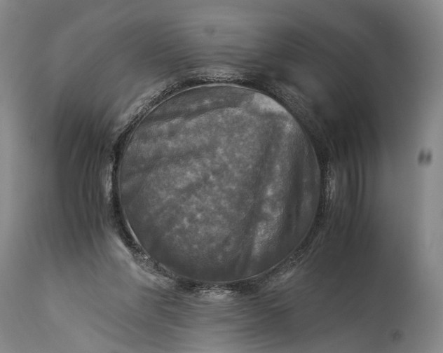 X0000115310206200911161729