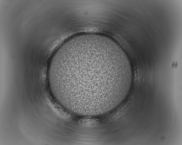 X0000115310208200911161729