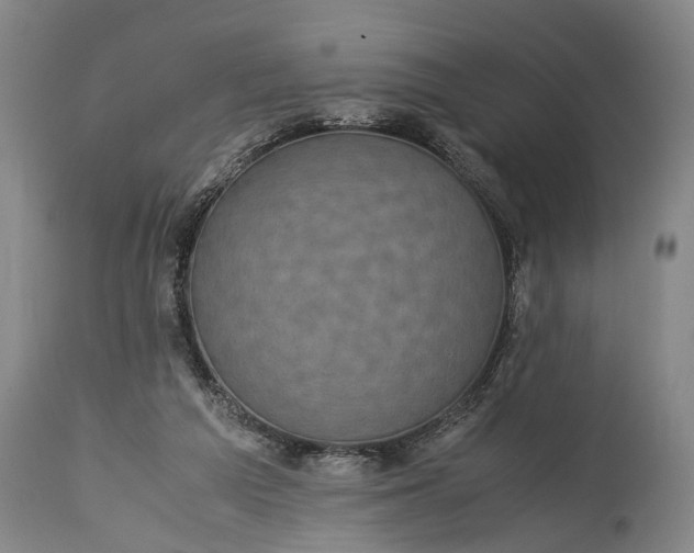 X0000115310209200911161729