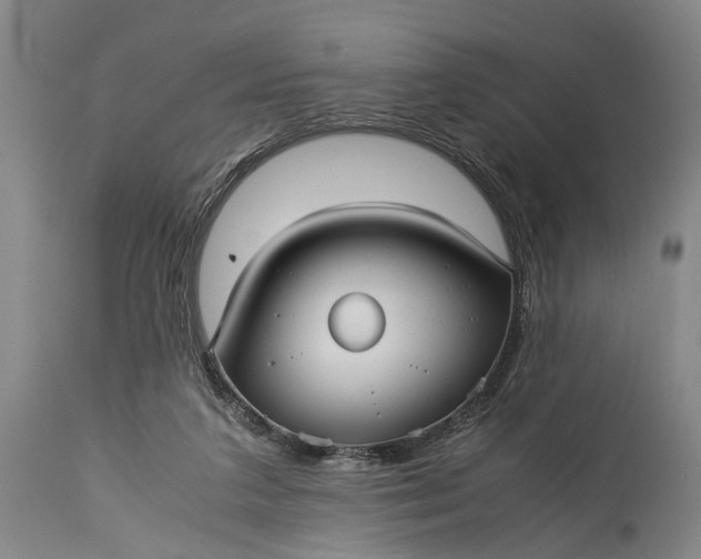 X0000115310211200911161729