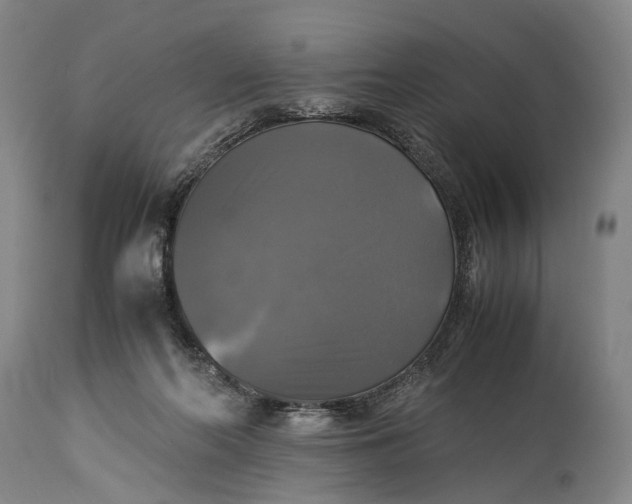 X0000115310214200911161729