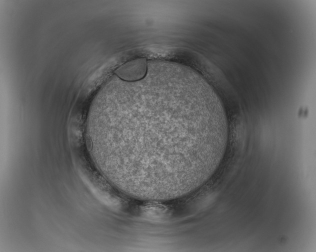 X0000115310215200911161729