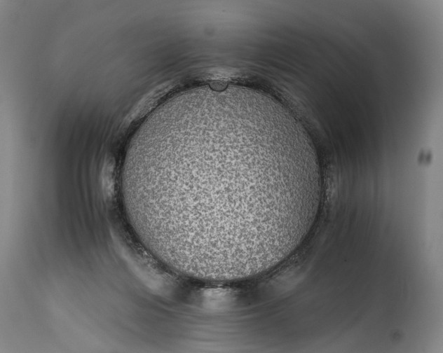 X0000115310216200911161729