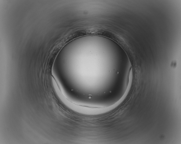 X0000115310217200911161729