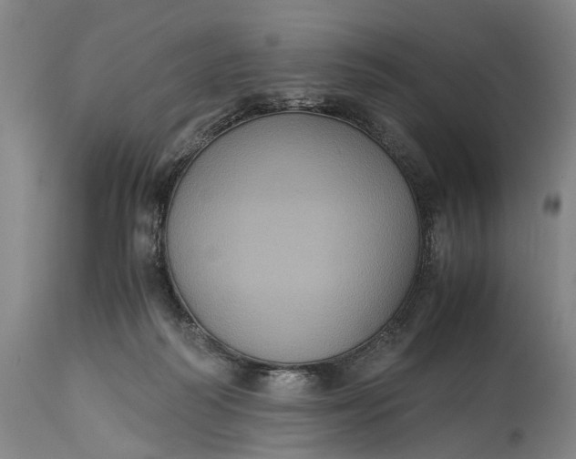 X0000115310218200911161729