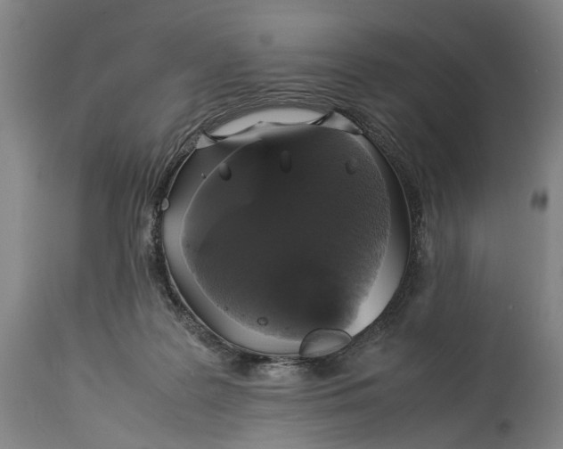 X0000115310219200911161729