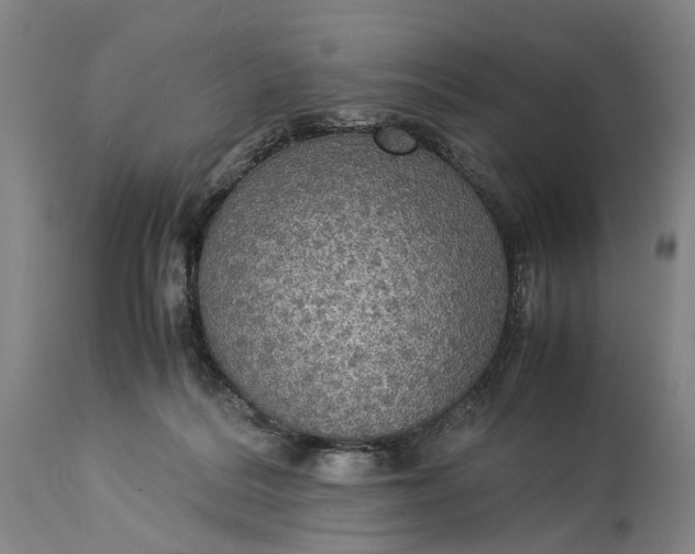 X0000115310220200911161729