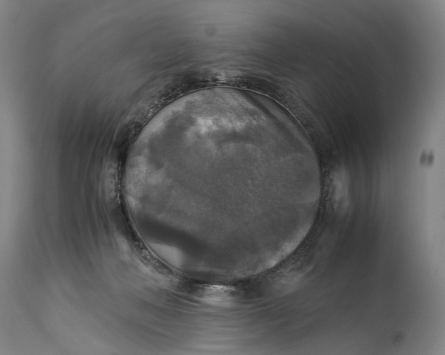 X0000115310222200911161729