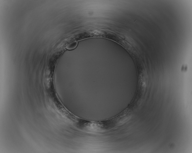 X0000115310223200911161729