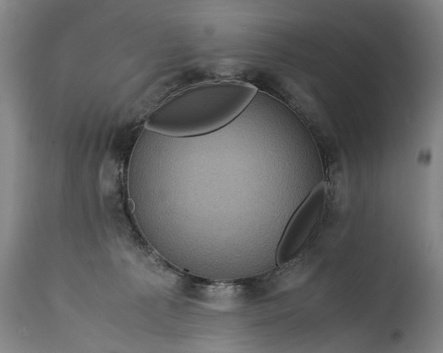 X0000115310225200911161729