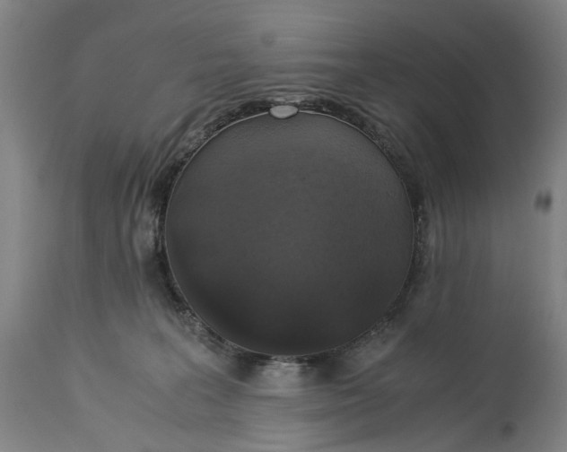 X0000115310227200911161729