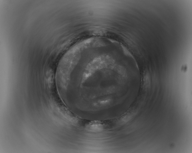 X0000115310228200911161729