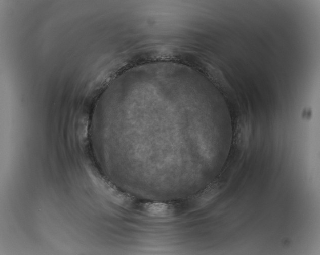 X0000115310230200911161729