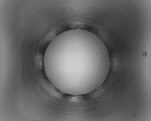 X0000115310232200911161729