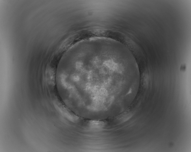 X0000115310234200911161729