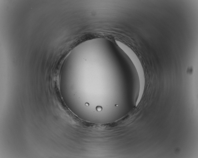 X0000115310235200911161729