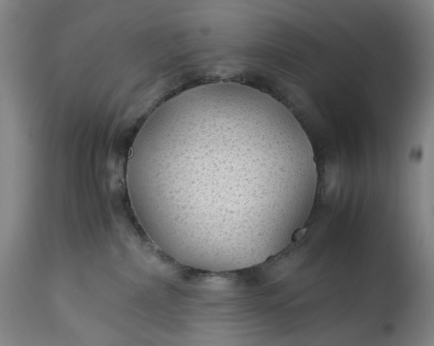 X0000115310236200911161729