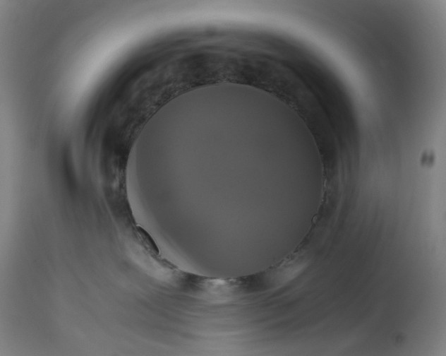 X0000115310239200911161729