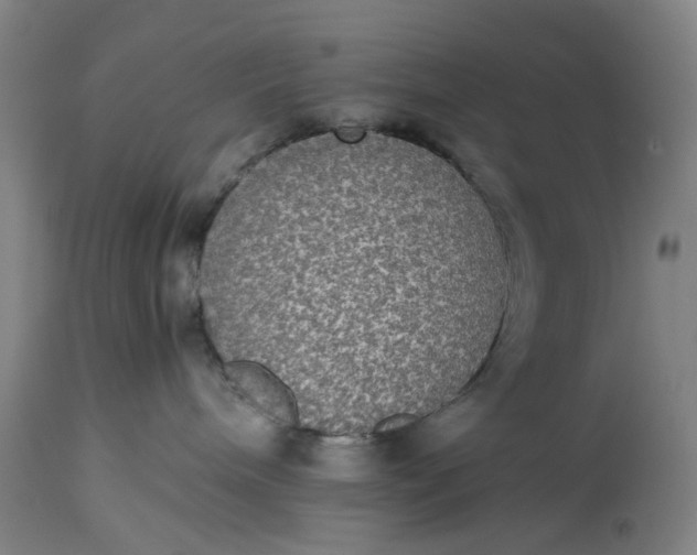 X0000115310240200911161729