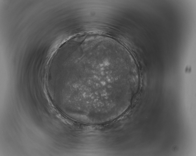 X0000115310241200911161728