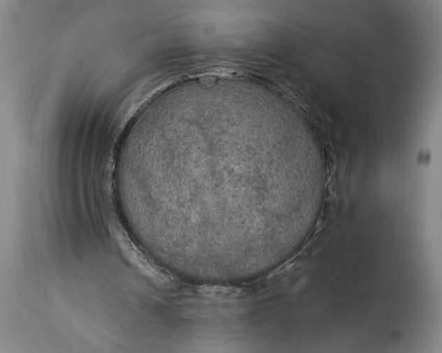 X0000115310242200911161728