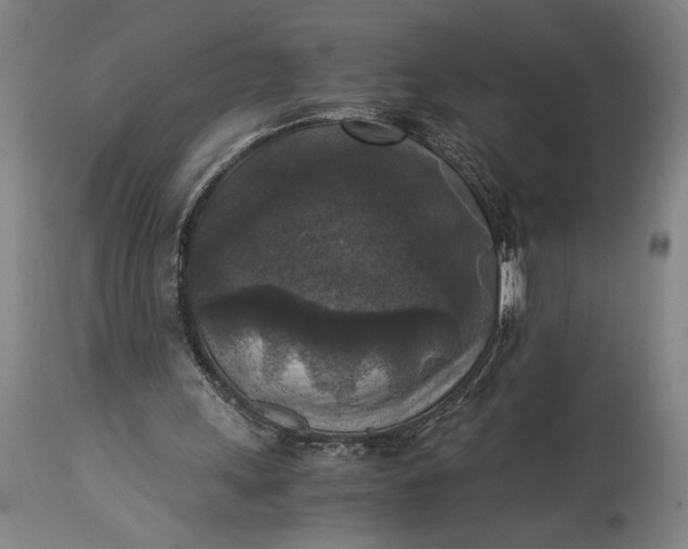 X0000115310243200911161728