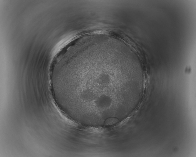 X0000115310245200911161728