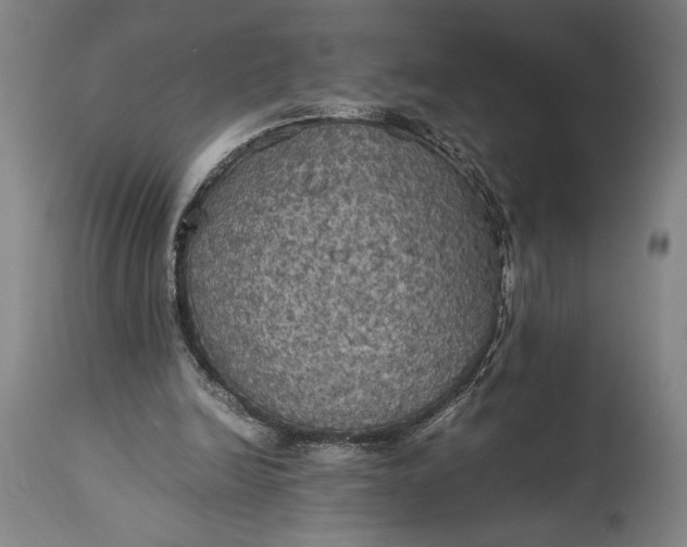 X0000115310246200911161728