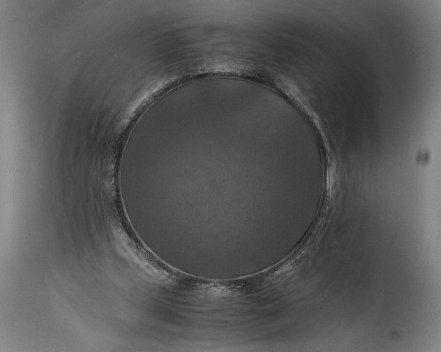 X0000115310249200911161728