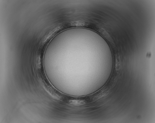 X0000115310251200911161728