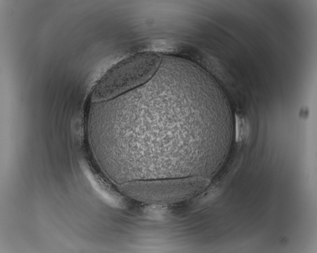 X0000115310252200911161728