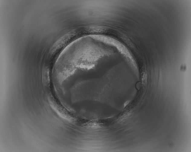 X0000115310254200911161728