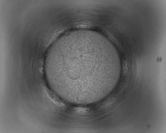 X0000115310255200911161728