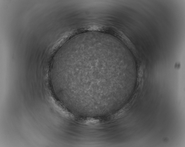 X0000115310257200911161728