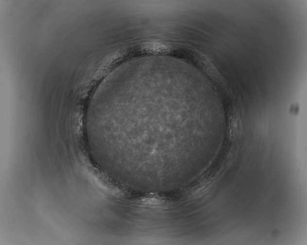 X0000115310259200911161728