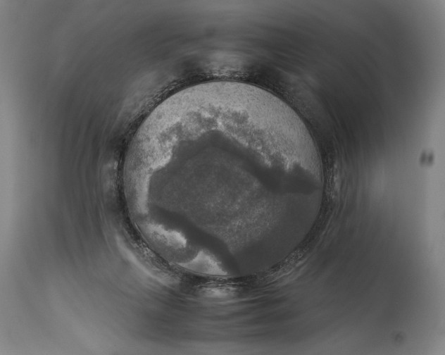 X0000115310263200911161729