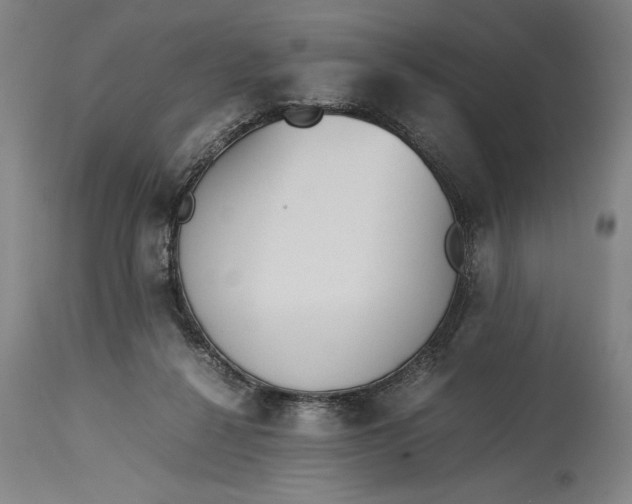 X0000115310264200911161729