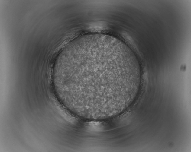 X0000115310265200911161729